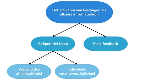 Cooperatiefleren_en_peer-feedback