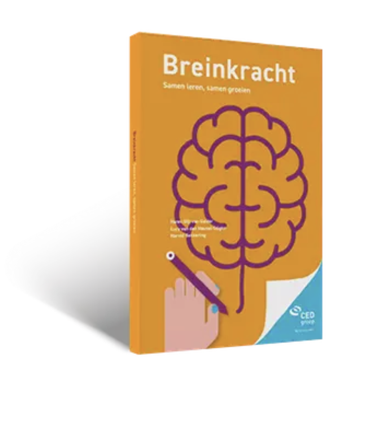 Breinkracht - Harold Bekkering LeerGewoonte