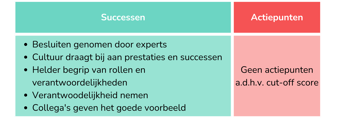 successen en actiepunten welzijn