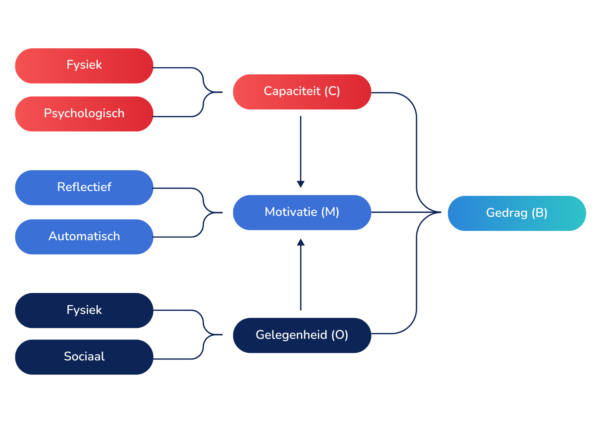 COM-B-model: gedrag ontstaat uit capaciteit, gelegenheid en motivatie